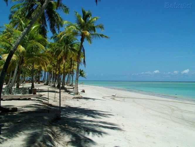 Praia do Toque (Alagoas)